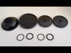 Диафрагма насоса является важной уплотнительной частью в диафрагматических насосах и гидравлических аккумуляторах, обеспечивающих эффективное